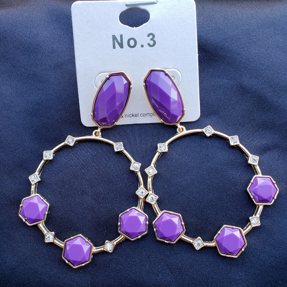 🆕️Purple Stone Drop Hoop Earrings